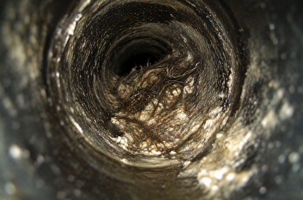Clogged drain pipe with hair buildup needing drain cleaning services .
